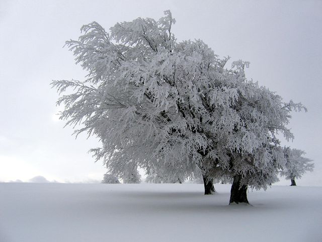Hiver
