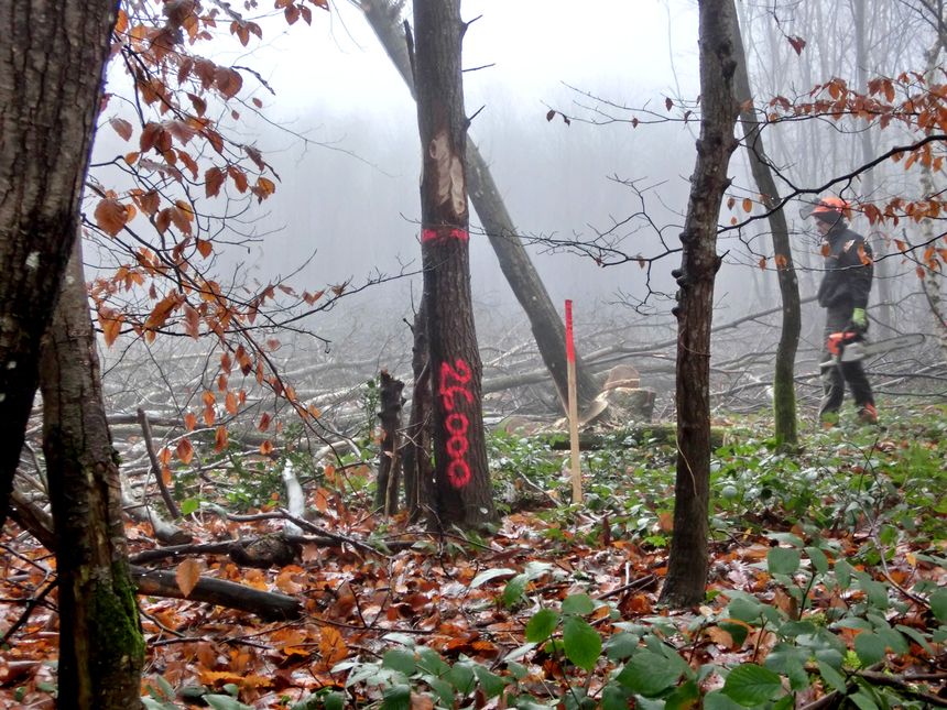 Le site du projet de village vacances Center Parcs à Roybon, en Isère