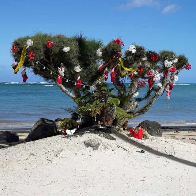 Noël à Hawaï