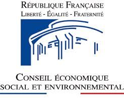 conseil économique social et environnemental - CESE