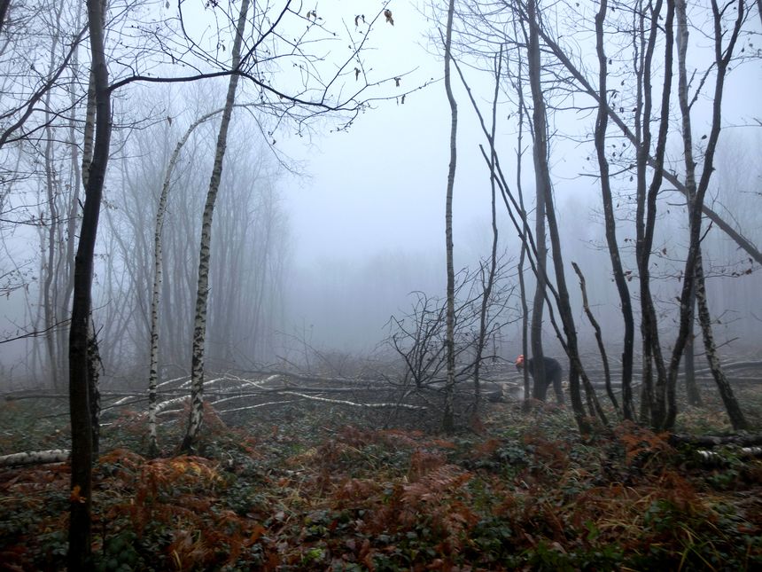 Le site du projet de village vacances Center Parcs à Roybon, en Isère