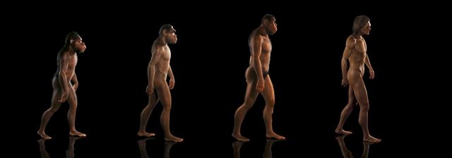 L'évolution humaine