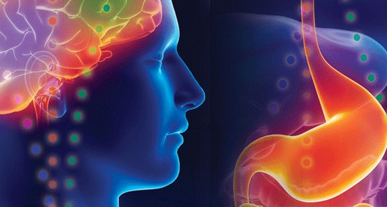 Interaction ventre et cerveau