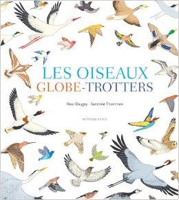 Les oiseaux globe-trotteurs