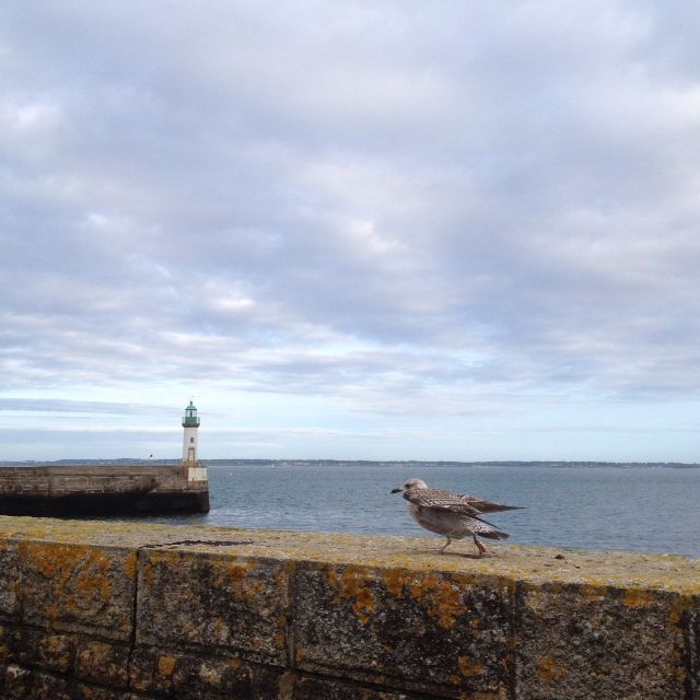 Au large, Lorient...
