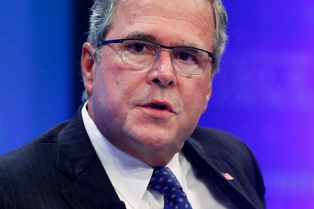 Jeb Bush