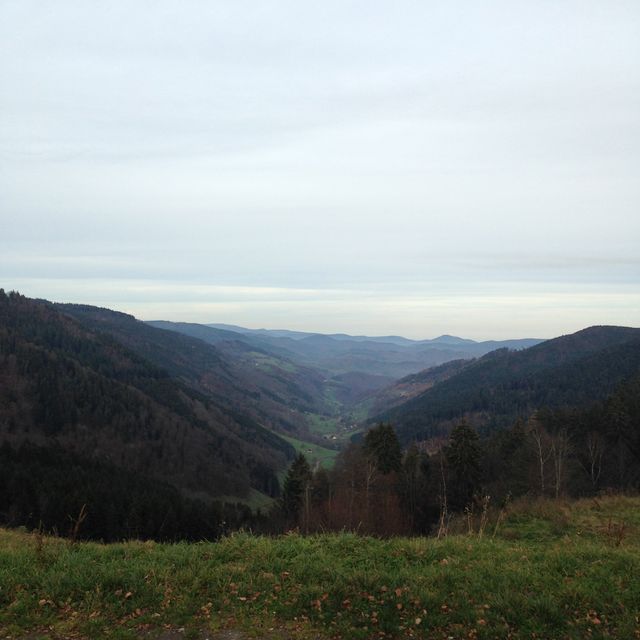 dans la vallée