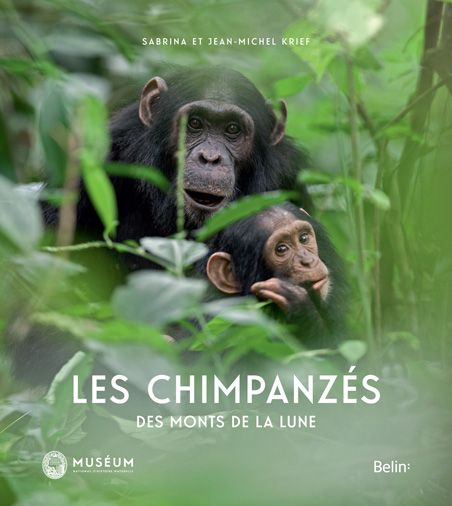 Les grands singes