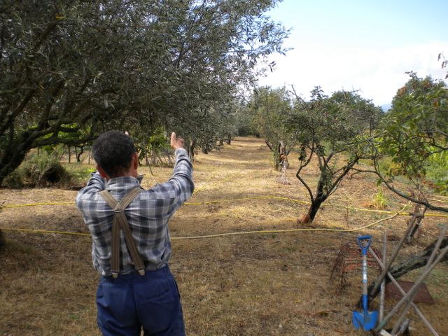 Pierre Rabhi dans son jardin