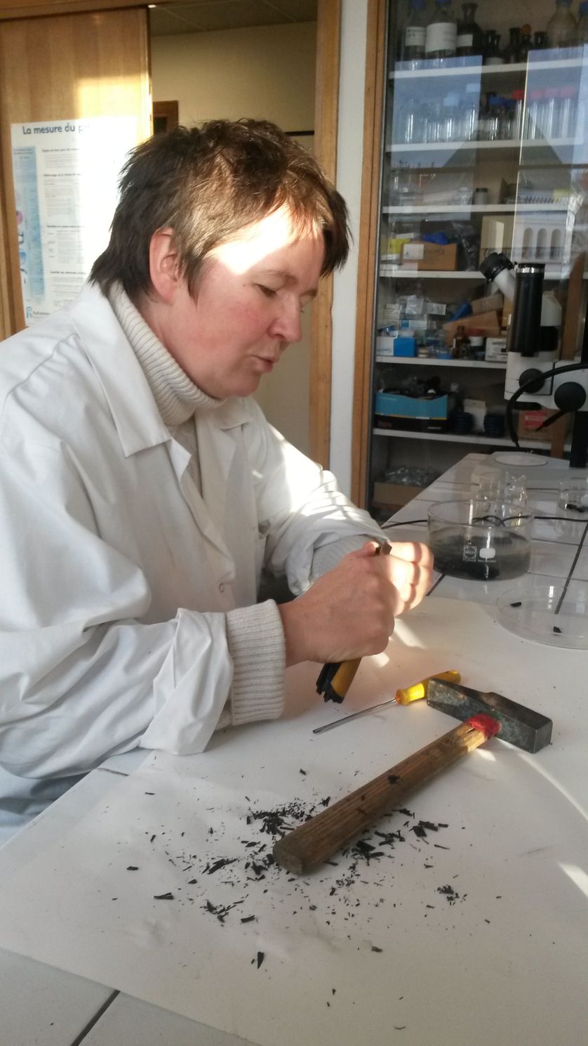 Véronique Rouchon au travail, extraction de fossiles