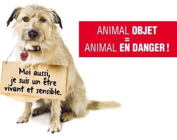 Fondation 30 Millions d'amis