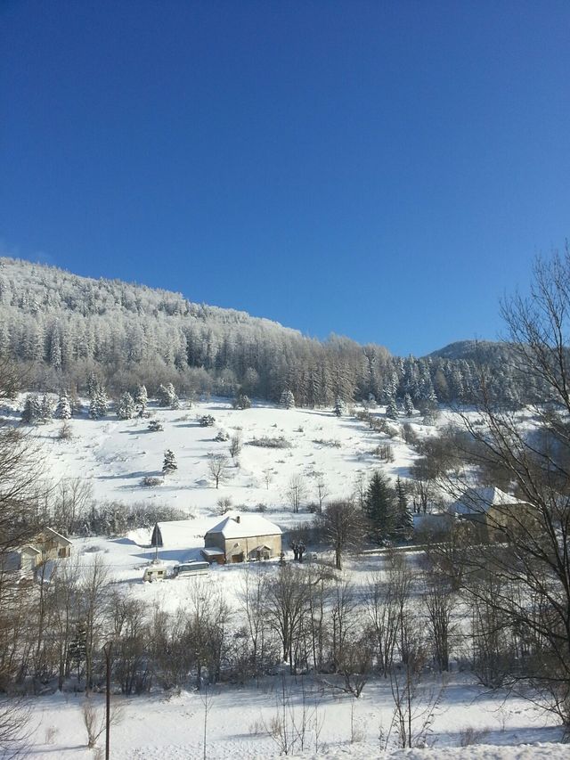 Quel est votre col préféré ?