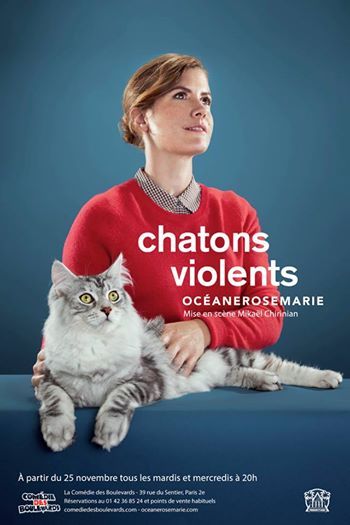 Chatons violents