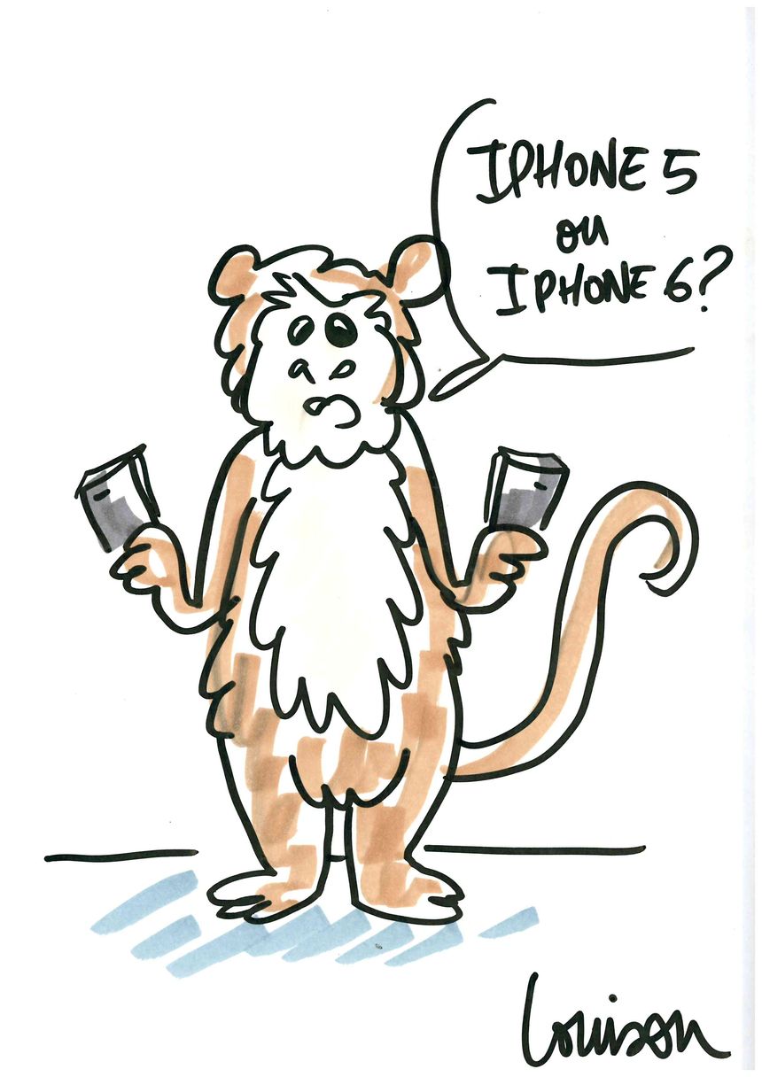 iPhone 5 ou iPhone 6