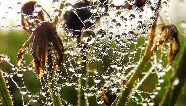 La Vie Est Elle Nee Dans Une Goutte D Eau