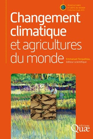 Couverture du livre d'Emmanuel Torquebiau