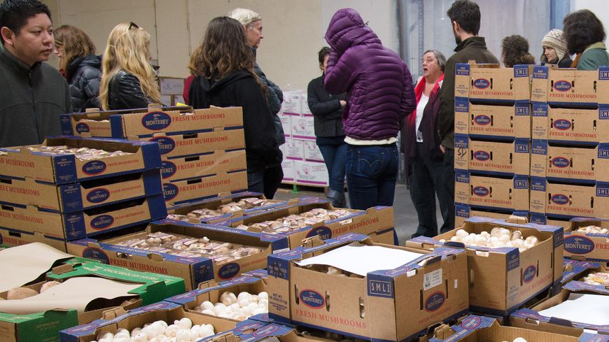 Distribution de légumes