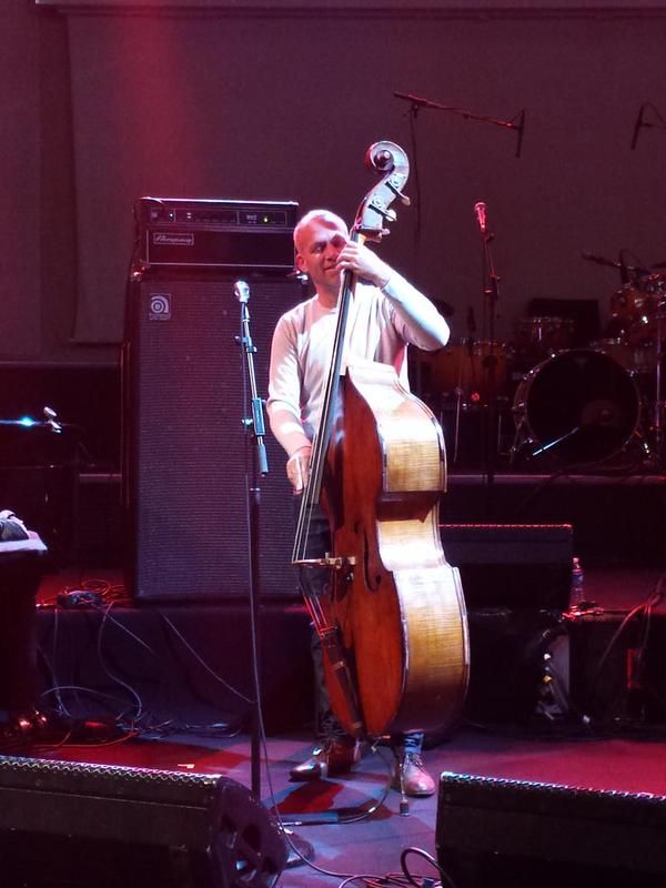 avishai cohen
