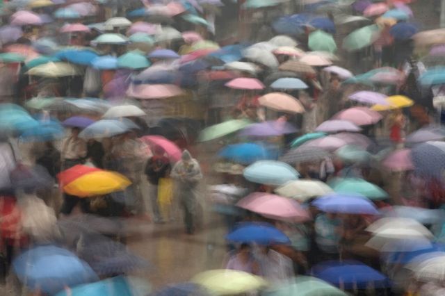 Des parapluies à Pékin, en Chine.