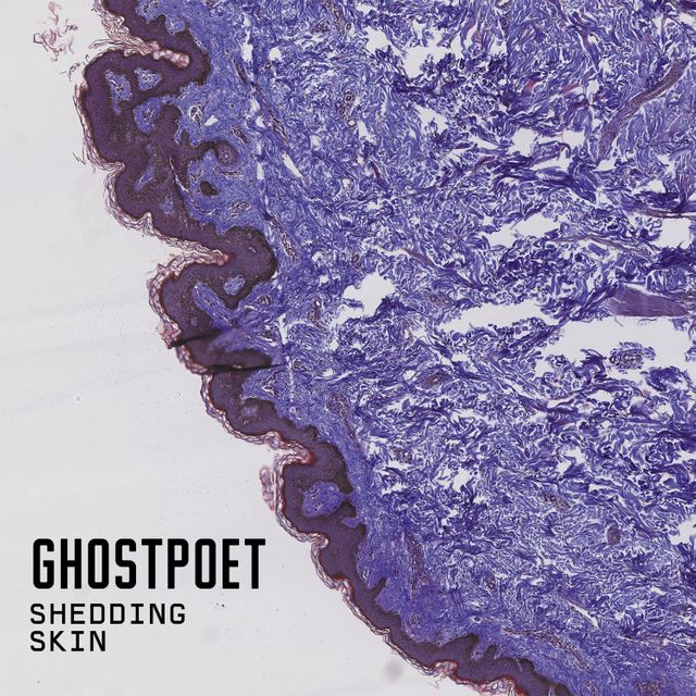 GhostPoet