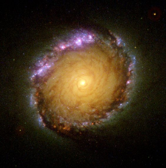 Image finale de la galaxie NGC1512, vue par Hubble.