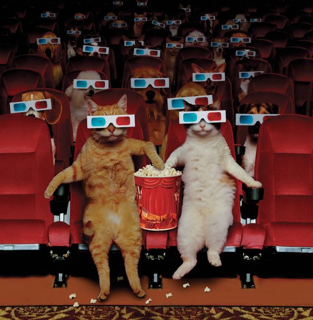 Le cinéma, c'est génial