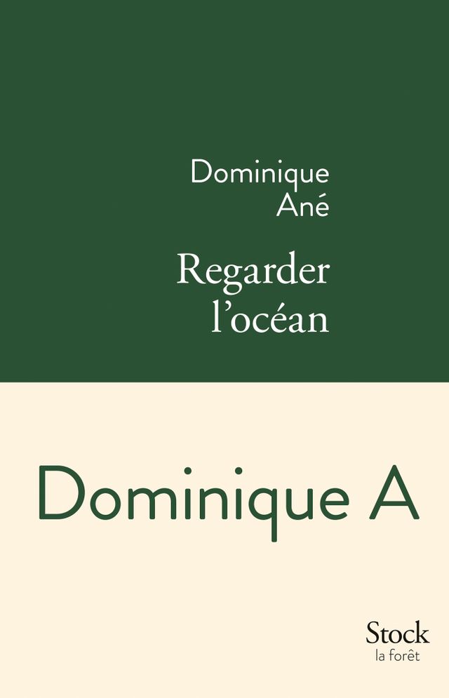 regarder l'océan