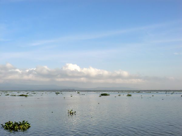 Lac Naivasha