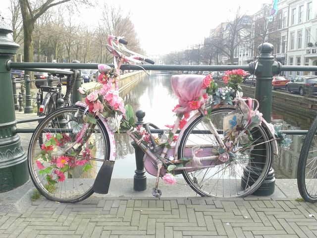 La Haye