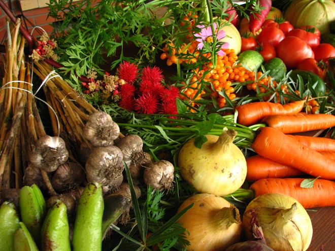 Légumes cultivés par l'agriculture biologique
