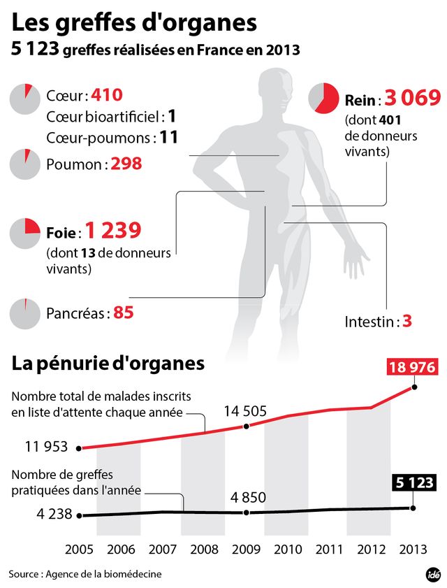 Les chiffres du don d'organes