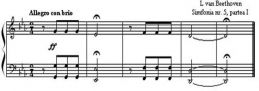 Symphonie n°5 Beethoven