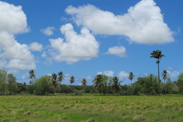 Guadeloupe