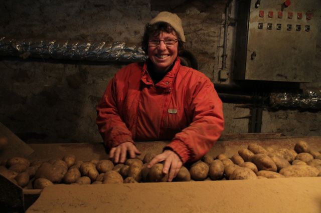 Anne trie les pommes de terre