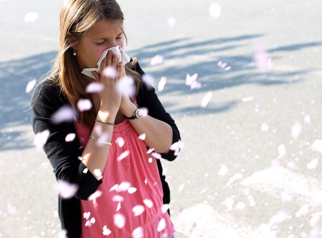 Le risque d'allergie sera "élevé", selon le Réseau national de surveillance aéorobiologique