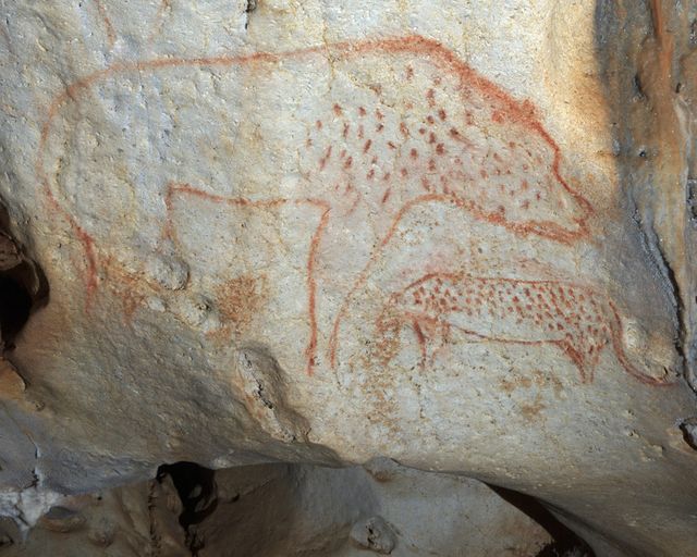 Ours et panthère dans la grotte Chauvet