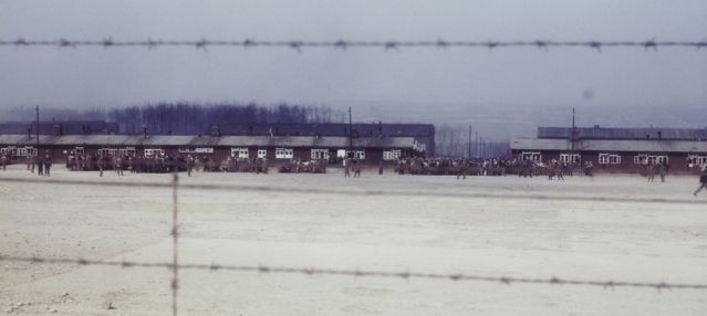 Survivants de Buchenwald
