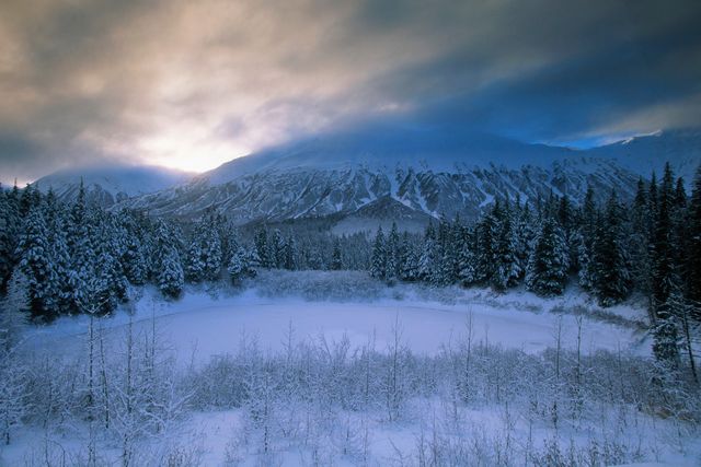 paysage nordique