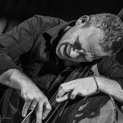 Avishai Cohen ©Miluta M. Fiueras