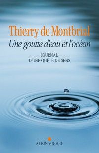 Une goutte d’eau et l'océan