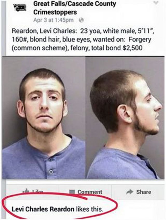 Levi Charles Reardon, l'arroseur arrosé.