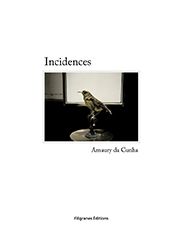 Incidences - Amaury Da Cunha