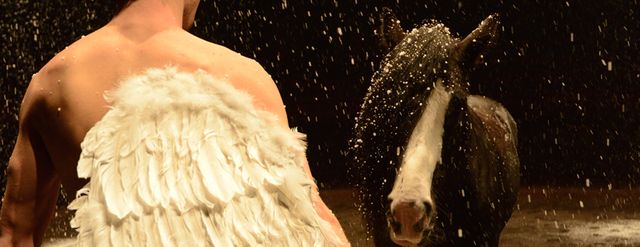 Zingaro, on achève bien les anges