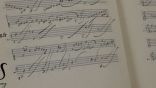 © D.R. Baroque Strasbourg - Agenda de la Musique Ancienne à Strasbourg
