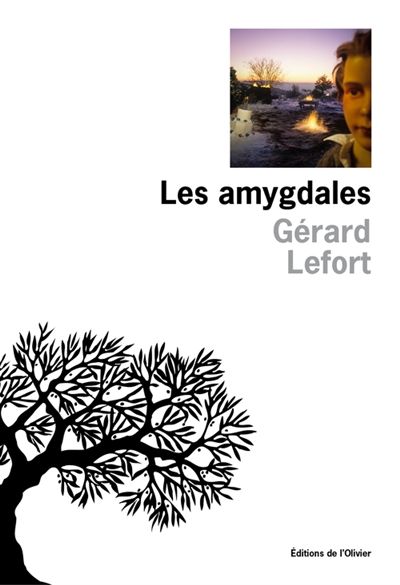 Gérard lefort-Les amygdales