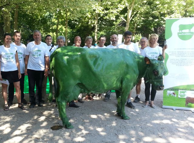 Vache verte