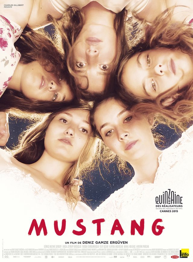 Erguven, Mustang