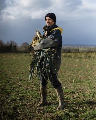 Sébastien , la ferme des Fraux maraîchers bio de Damien Hervé. Pipriac