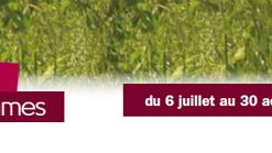 Bandeau Grille des programmes été 2015