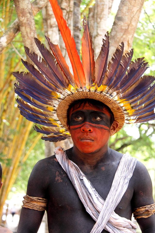 Indien du Brésil